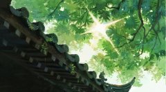 患有哮喘、鼻炎等冬季易发病及轻度维生素D缺乏