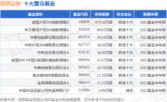 沉仓该股的公募基金共13