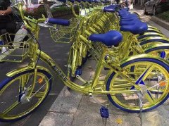 <b>微博上被一组“小金车”的照片</b>